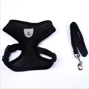 Harness with Leash- Black