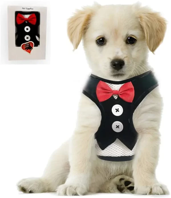 Dog Harness With Leash - Image 2