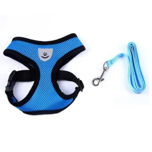 Harness with Leash- Blue
