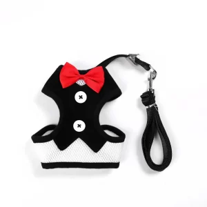 Dog Harness With Leash