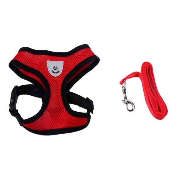 Harness with Leash- Red