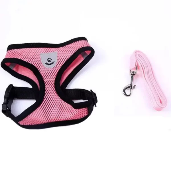 Harness with Leash- Pink