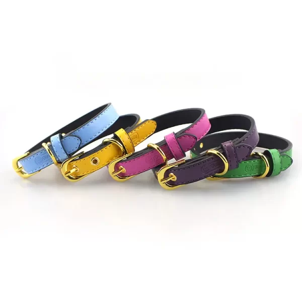 Leather Pet Collar