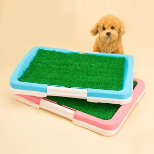 Potty Training Pad - Blue