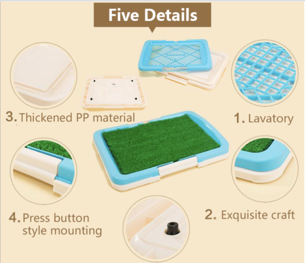 Potty Training Pad - Blue - Image 2