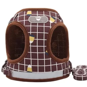 Harness with Leash - Brown