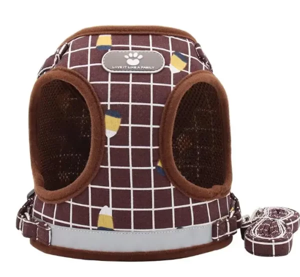 Harness with Leash - Brown