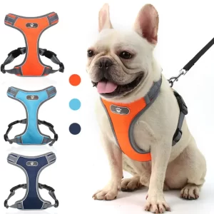 Dog Harness