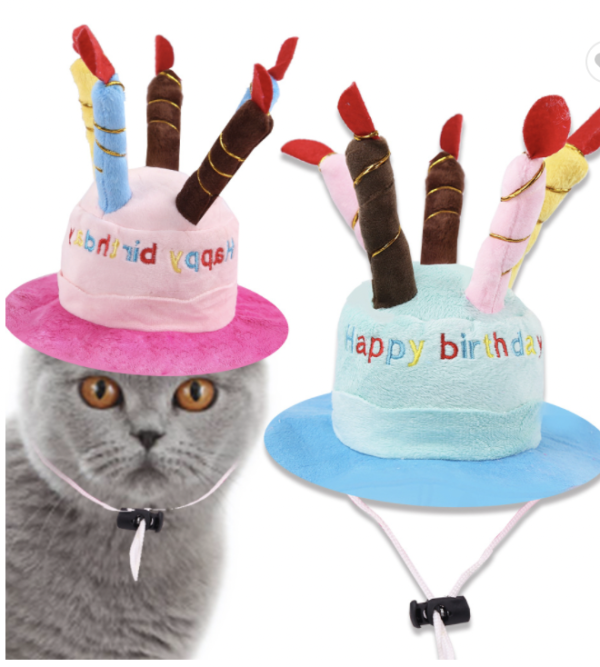 Pet Birthday Hats
