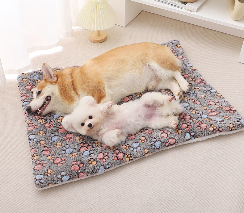 Paw Blanket- Multicolour - 81 x 62 CM - Image 3
