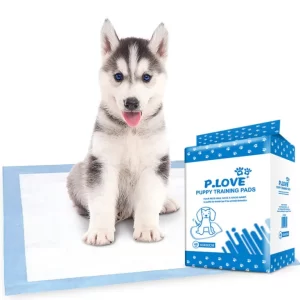 Pee Pads- 60 x 60 (40PC/PACK)