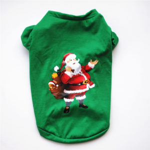 Christmas T-Shirt- Santa Green