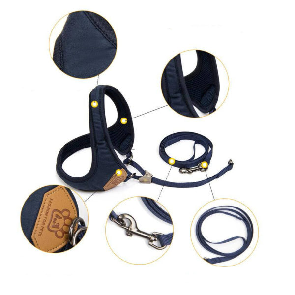 Harness With Leash - Image 3