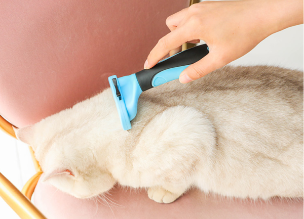 Shedding Tool - Image 3