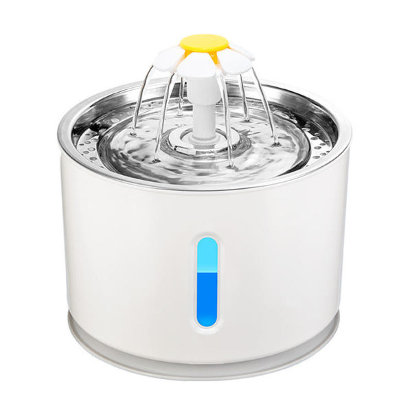 Water Fountain
