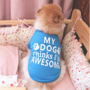 Awesome T-shirt- Large
