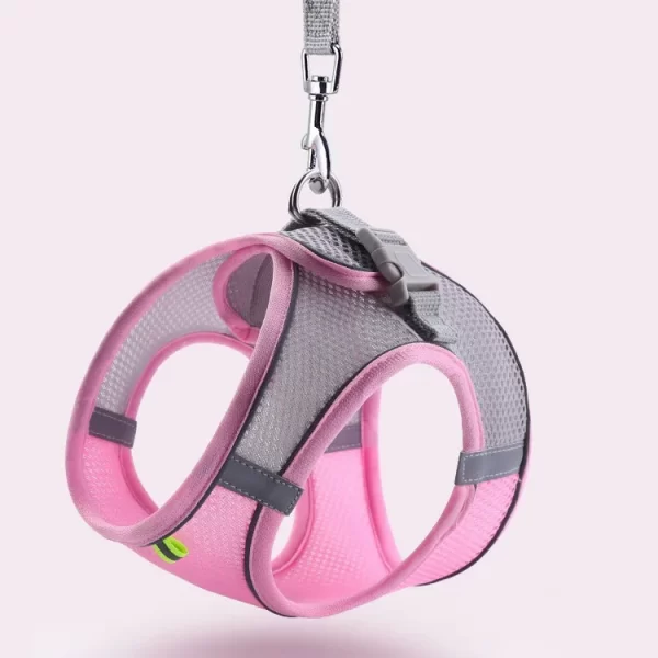 Harness With Leash - Image 5