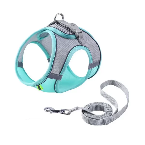 Harness With Leash - Image 6