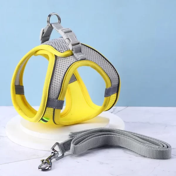 Harness With Leash - Image 7
