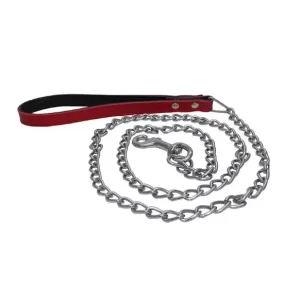 Chain Leash