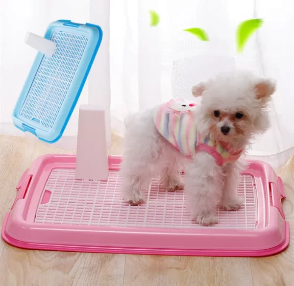 Potty Training Pad