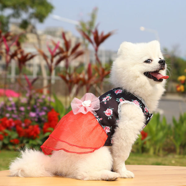 Spring Dog Dress - Image 2