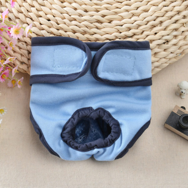 Physiological Pant - Blue