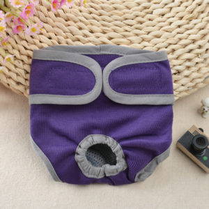 Physiological Pant- Purple