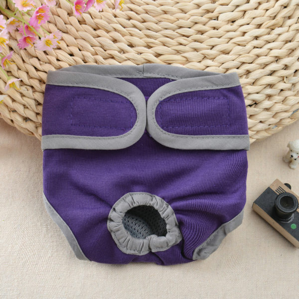 Physiological Pant- Purple