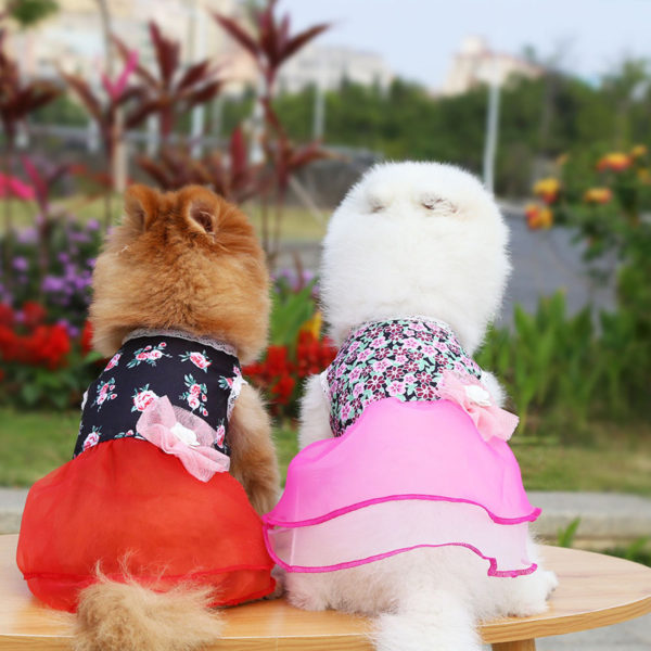 Spring Dog Dress