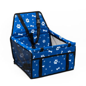 Car Seat- Blue