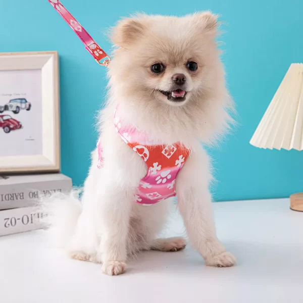 Harness with Leash - Pink - Image 3
