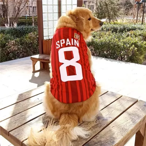 World-Cup Jerseys - Image 2