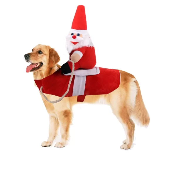 Christmas Costume