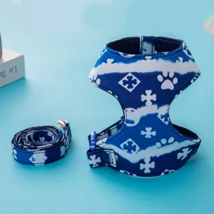 Harness with Leash - Blue