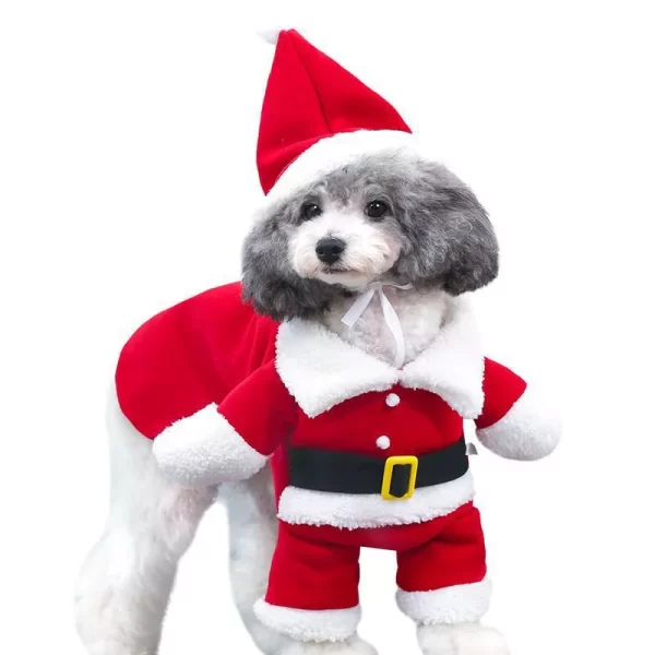 Santa Costume