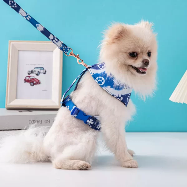 Harness with Leash - Blue - Image 4