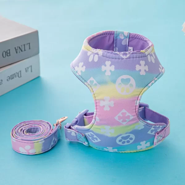 Harness with Leash- Purple