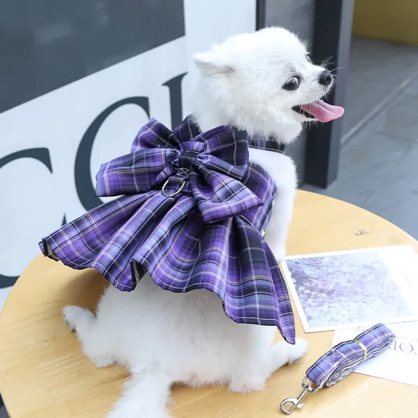 Dress Harness with Leash - XL - Image 2