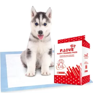 Pee Pads - 33 x 45 CM (100 PC/PACK)