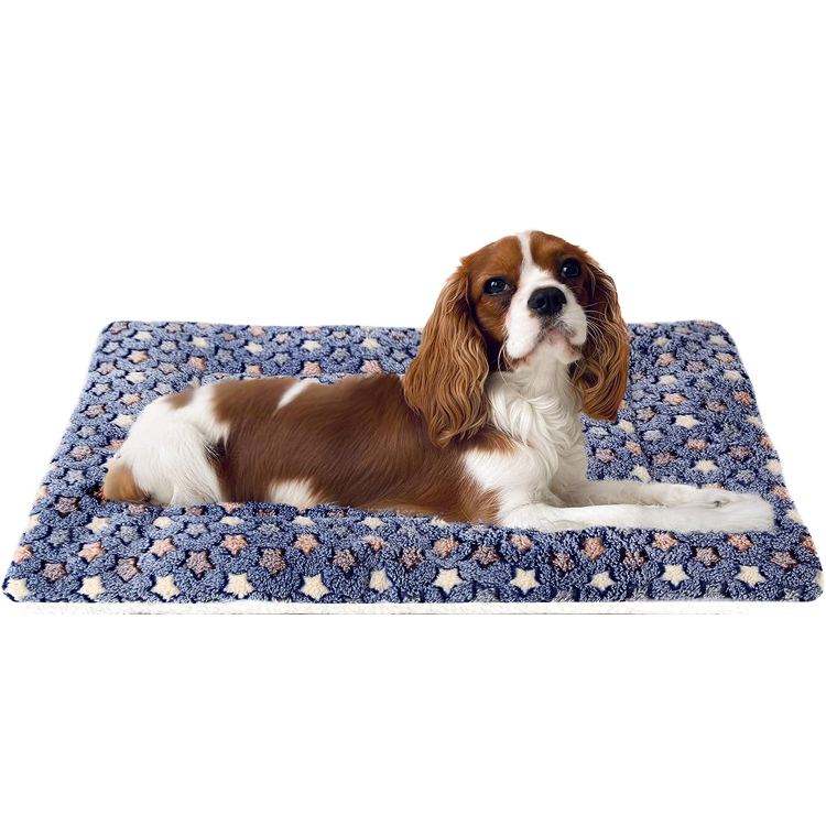 Star Pet Blanket - 81 x 62 CM - Image 2