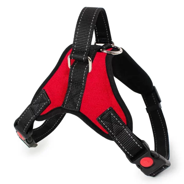 Harness- Big Size Dogs