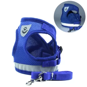 Reflective Harness with Leash