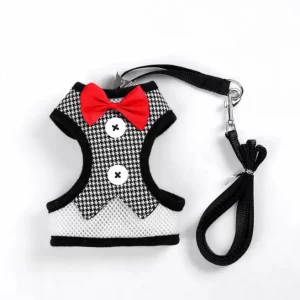 Dog Harness With Leash