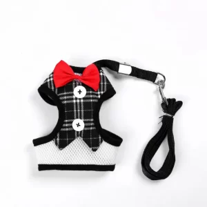 Dog Harness with Leash