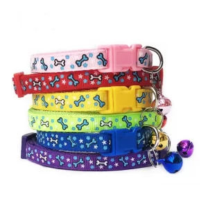 Vibrant Cat/Dog Collar