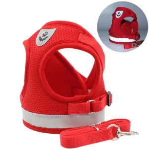 Reflective Harness with Leash