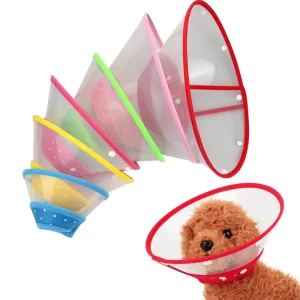 Dog Cone