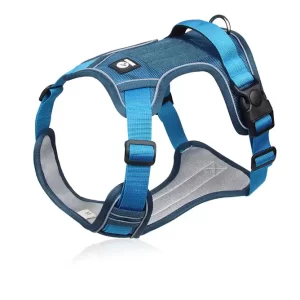 Dog Harness- Blue