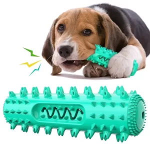 Molar Dog Chew Toy- Green